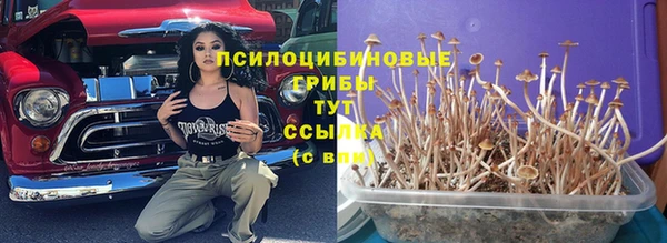 ешки Волосово