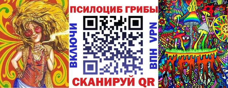 Галлюциногенные грибы Psilocybe  маркетплейс состав  Долгопрудный 